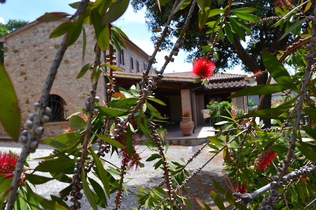Agriturismo La Ghiraia サンタ・ルーチェ 部屋 写真
