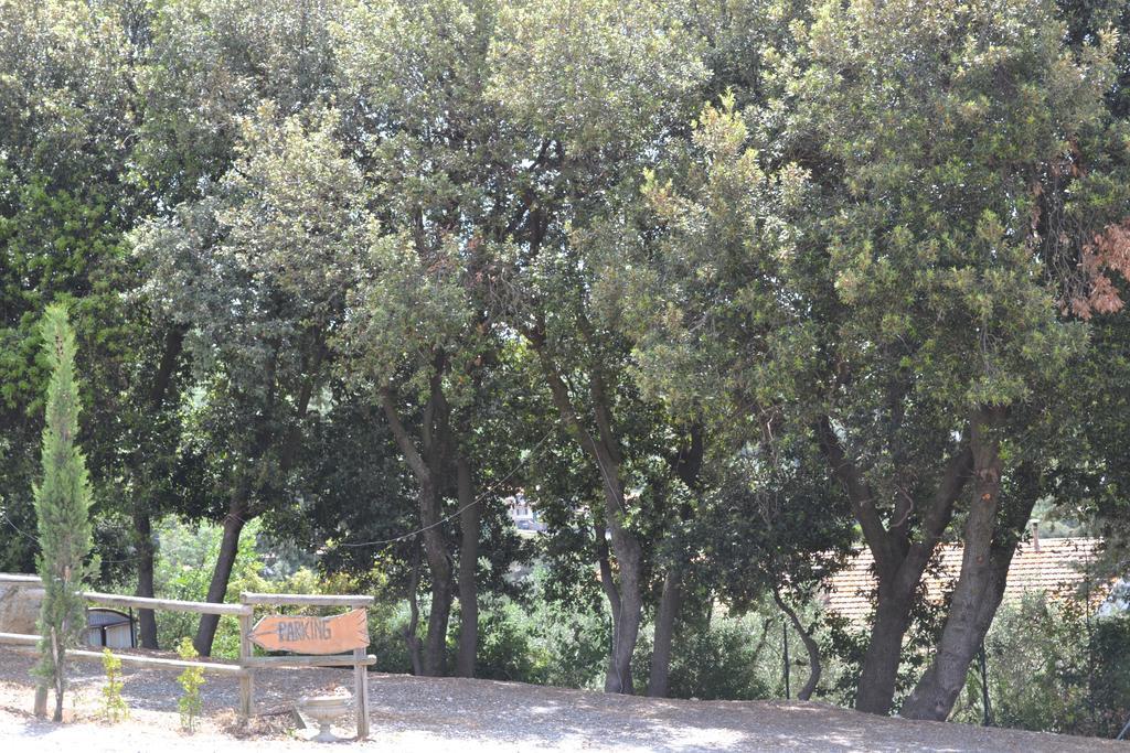 Agriturismo La Ghiraia サンタ・ルーチェ エクステリア 写真